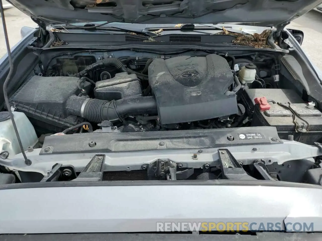 11 Photograph of a damaged car 3TMCZ5AN0KM224296 TOYOTA TACOMA 2019