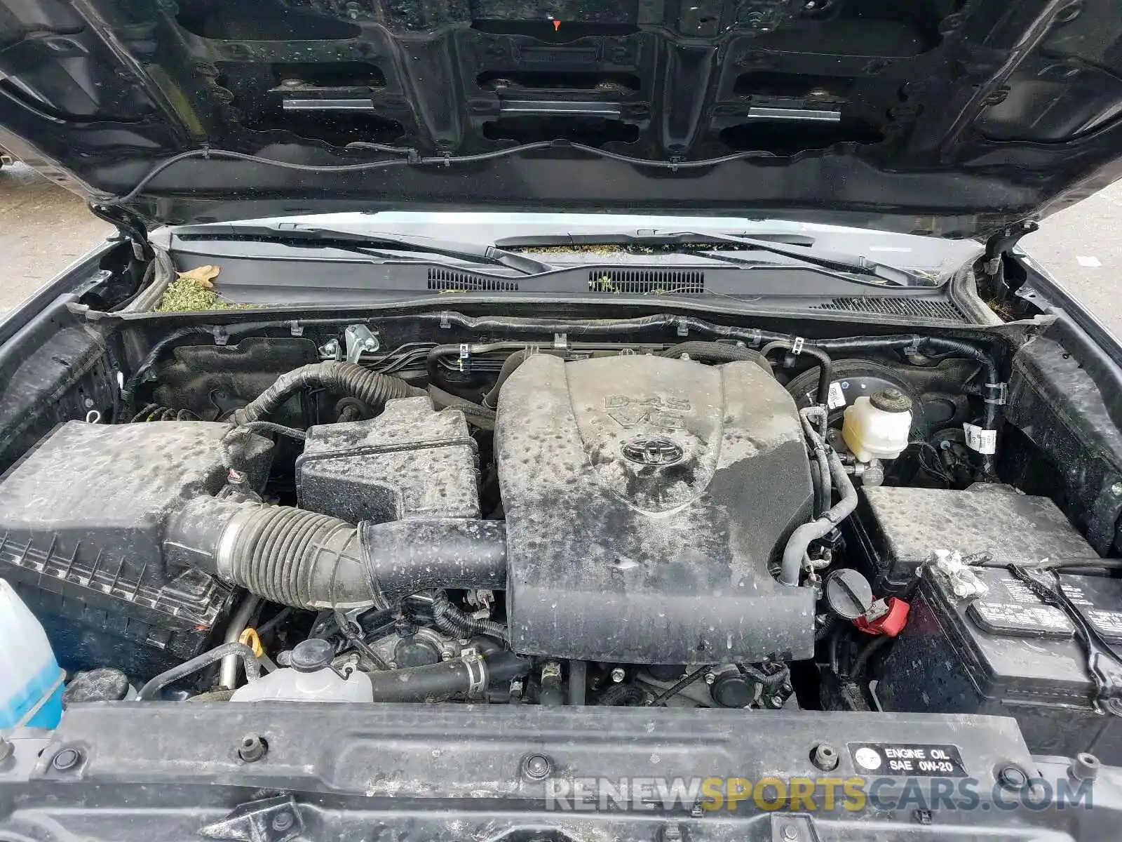 7 Photograph of a damaged car 3TMCZ5AN0KM232110 TOYOTA TACOMA 2019