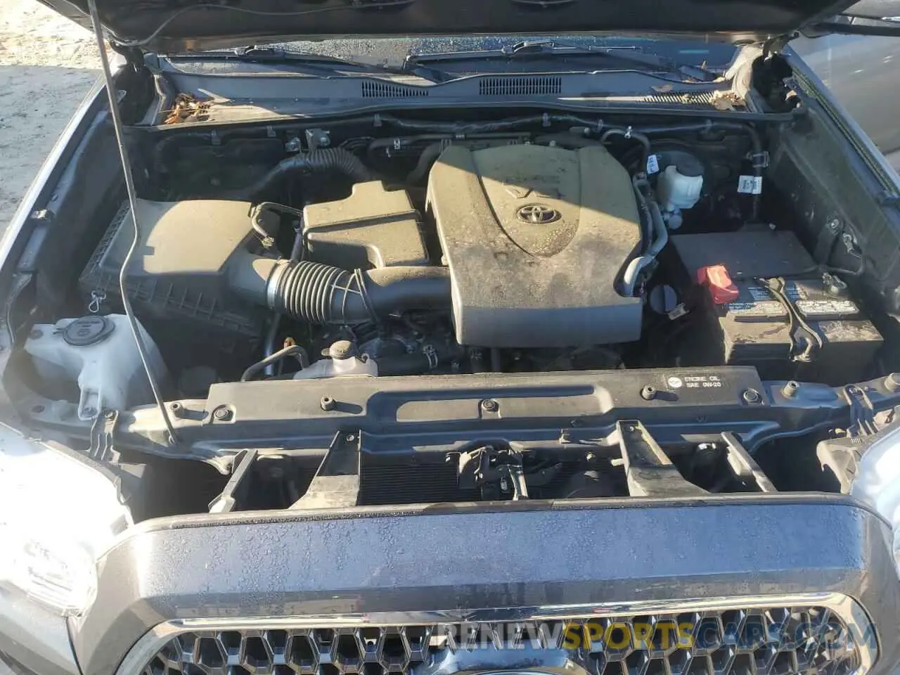 11 Photograph of a damaged car 3TMCZ5AN0KM246038 TOYOTA TACOMA 2019