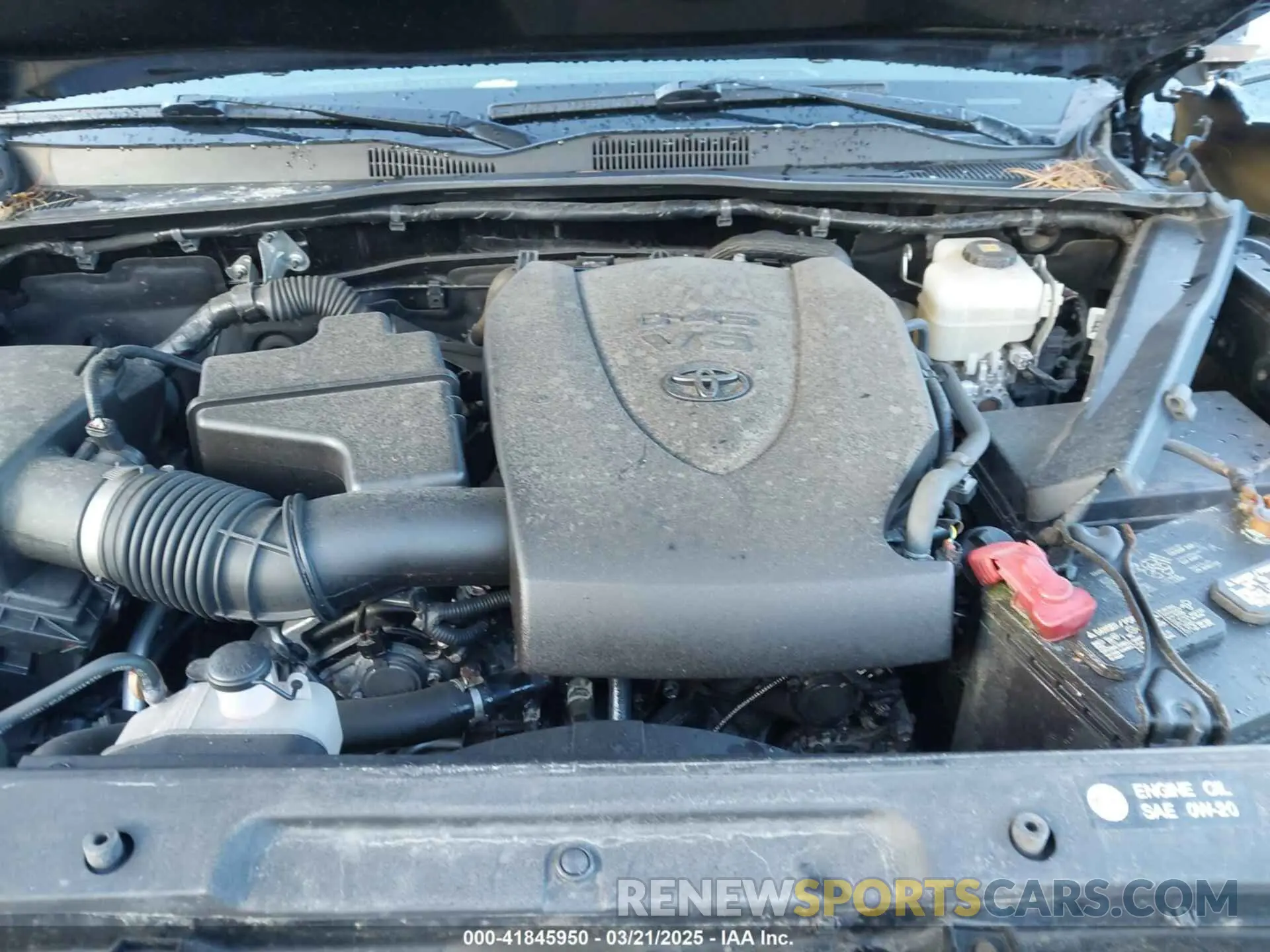 10 Photograph of a damaged car 3TMCZ5AN0KM261364 TOYOTA TACOMA 2019