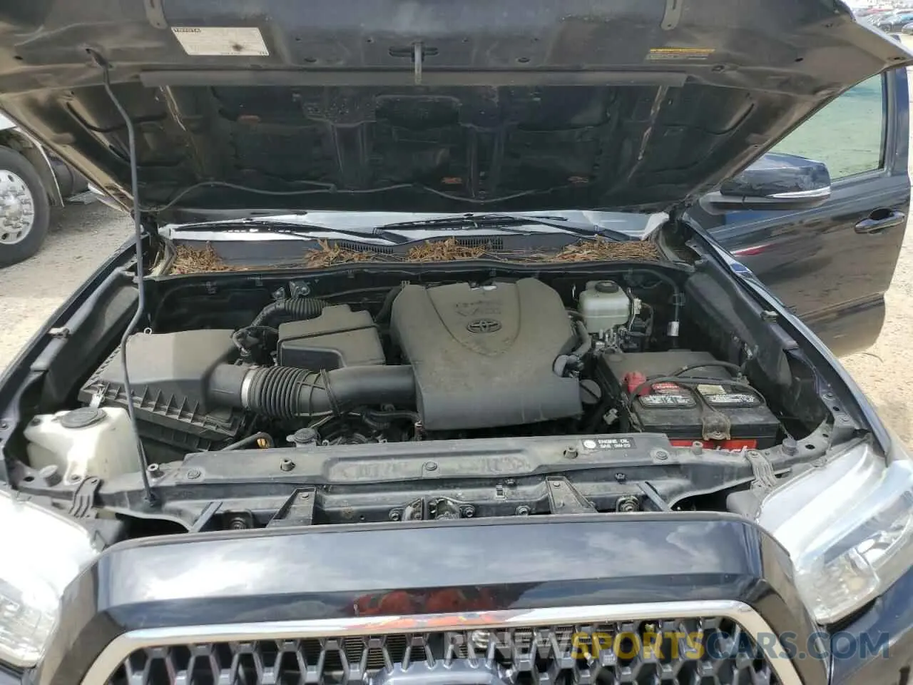 11 Photograph of a damaged car 3TMCZ5AN0KM265933 TOYOTA TACOMA 2019