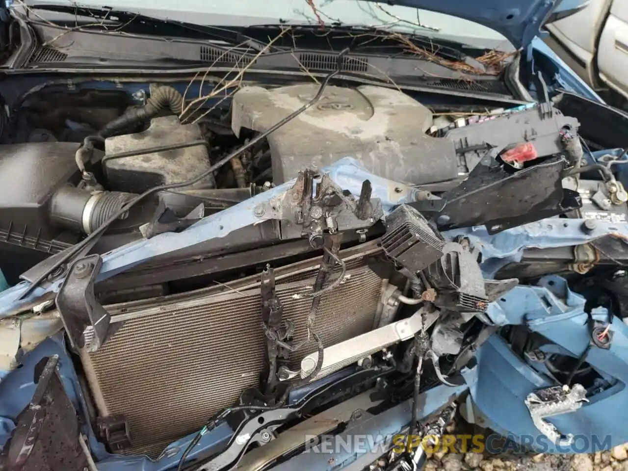 7 Photograph of a damaged car 3TMCZ5AN0KM275085 TOYOTA TACOMA 2019