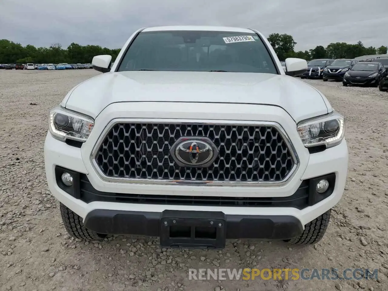 5 Photograph of a damaged car 3TMCZ5AN1KM190613 TOYOTA TACOMA 2019