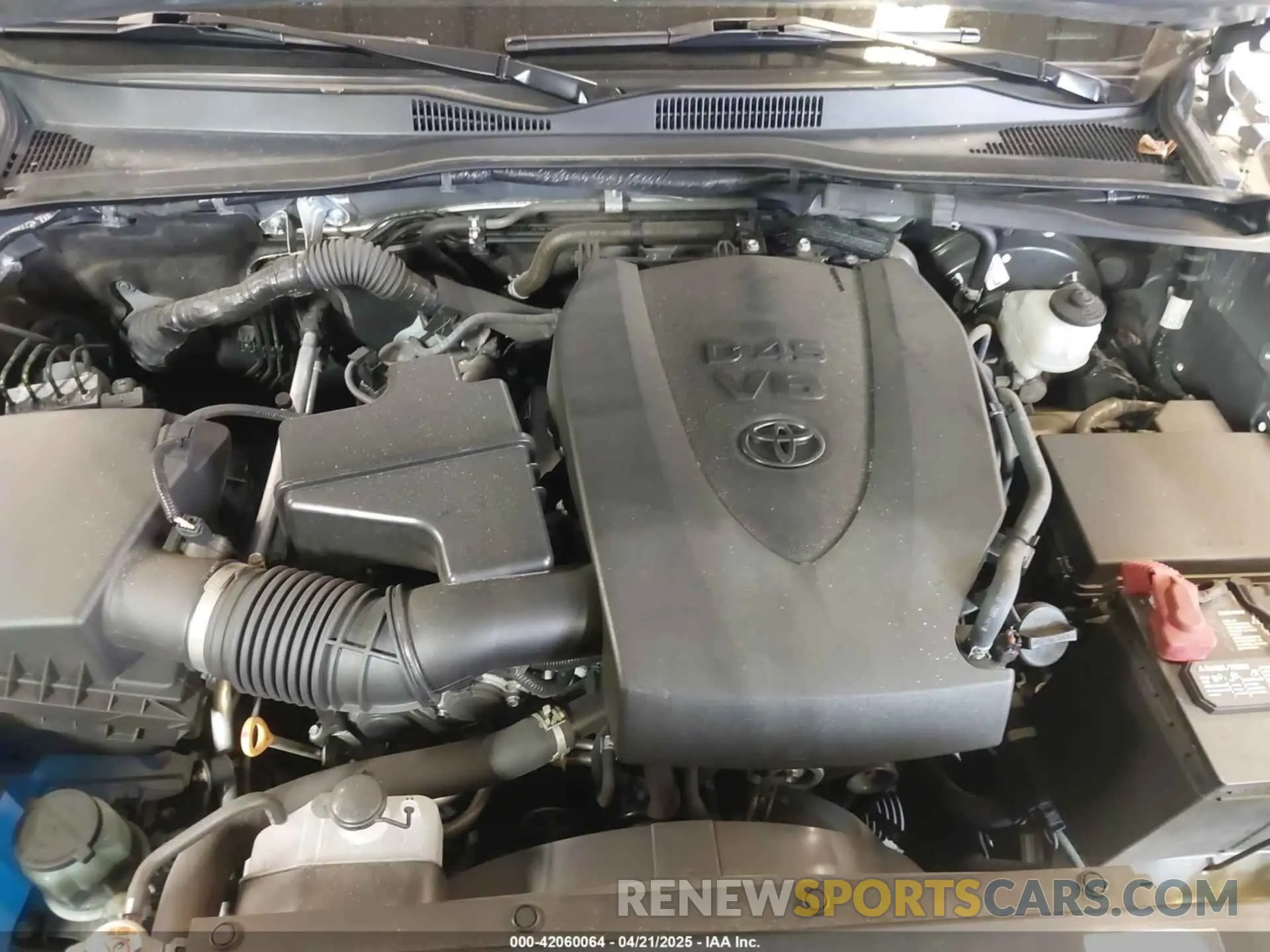 10 Photograph of a damaged car 3TMCZ5AN1KM256173 TOYOTA TACOMA 2019