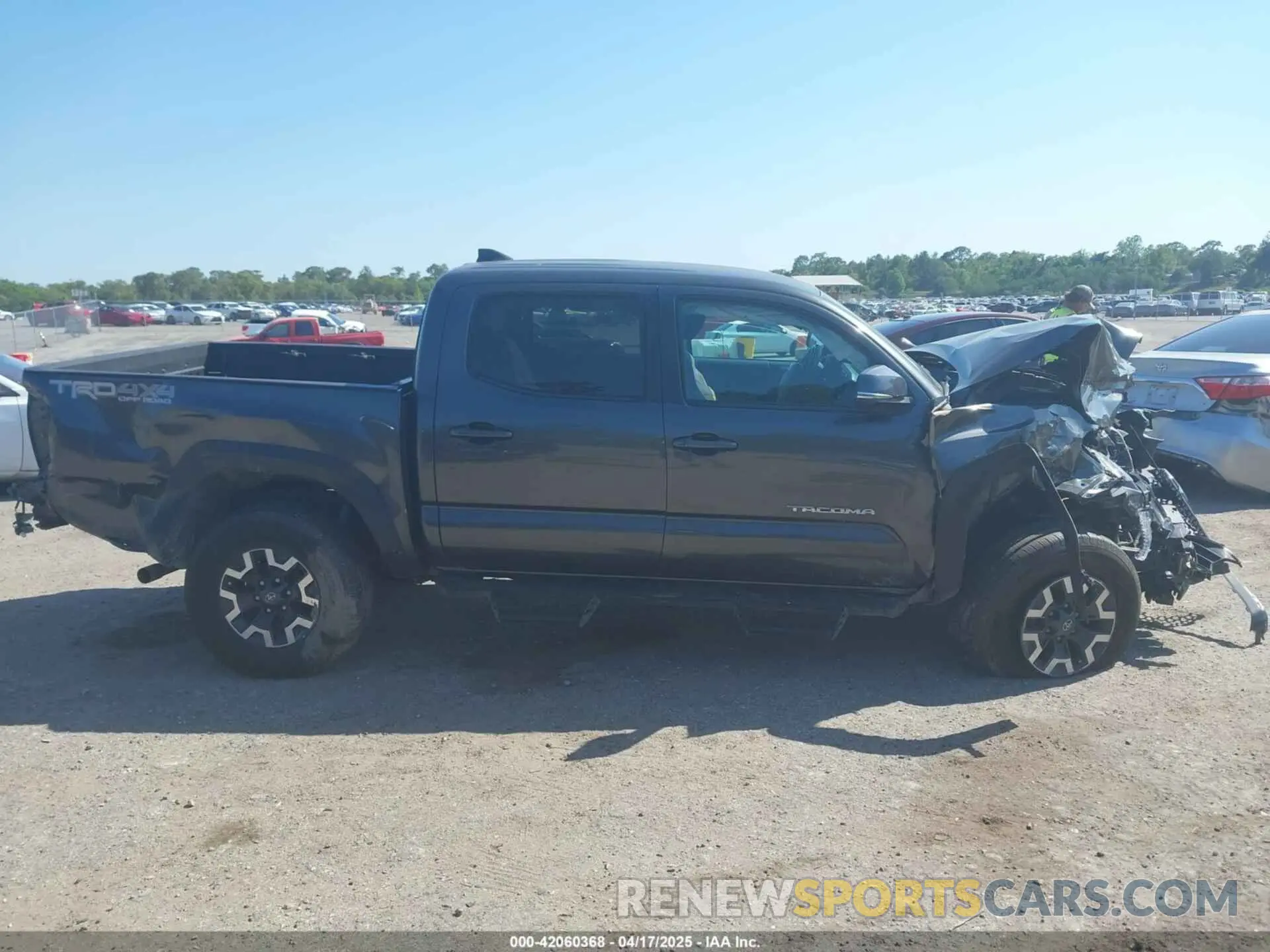 12 Photograph of a damaged car 3TMCZ5AN2KM192497 TOYOTA TACOMA 2019