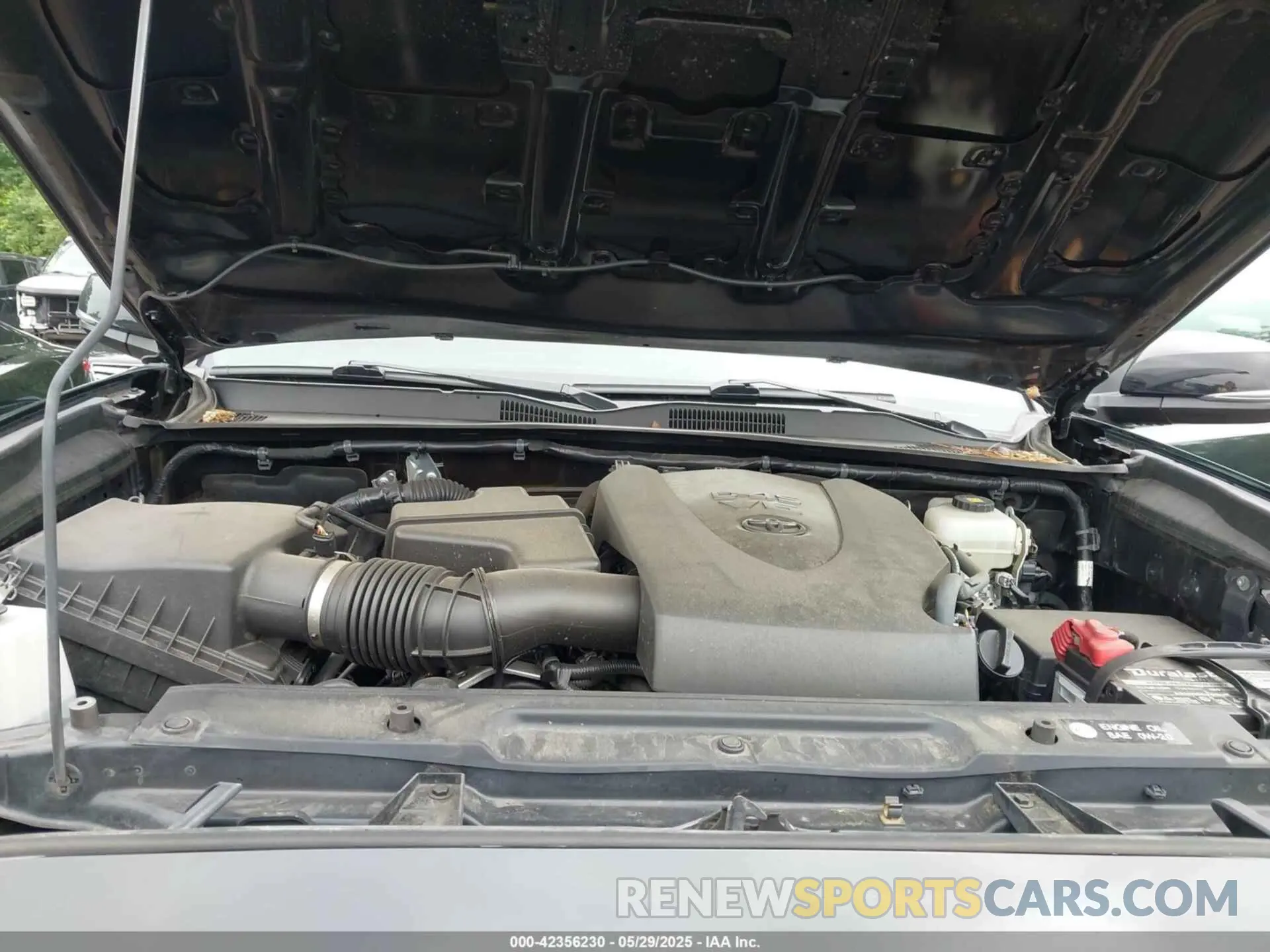 10 Photograph of a damaged car 3TMCZ5AN2KM193343 TOYOTA TACOMA 2019