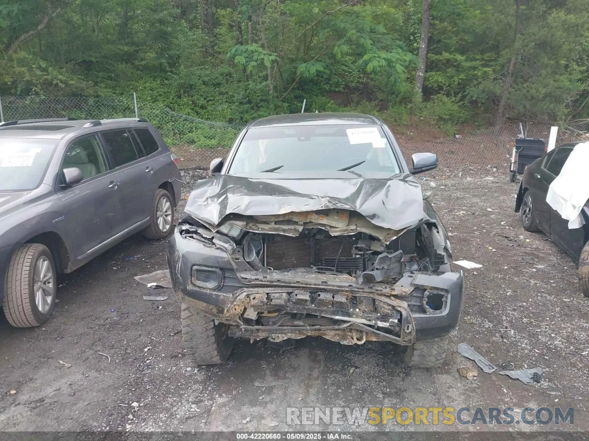 12 Photograph of a damaged car 3TMCZ5AN3KM197613 TOYOTA TACOMA 2019