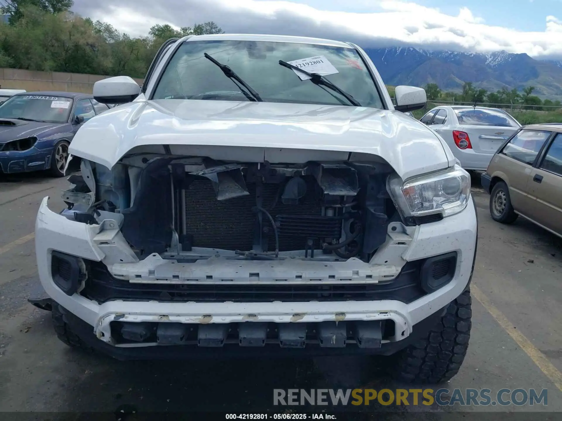 12 Photograph of a damaged car 3TMCZ5AN3KM202132 TOYOTA TACOMA 2019
