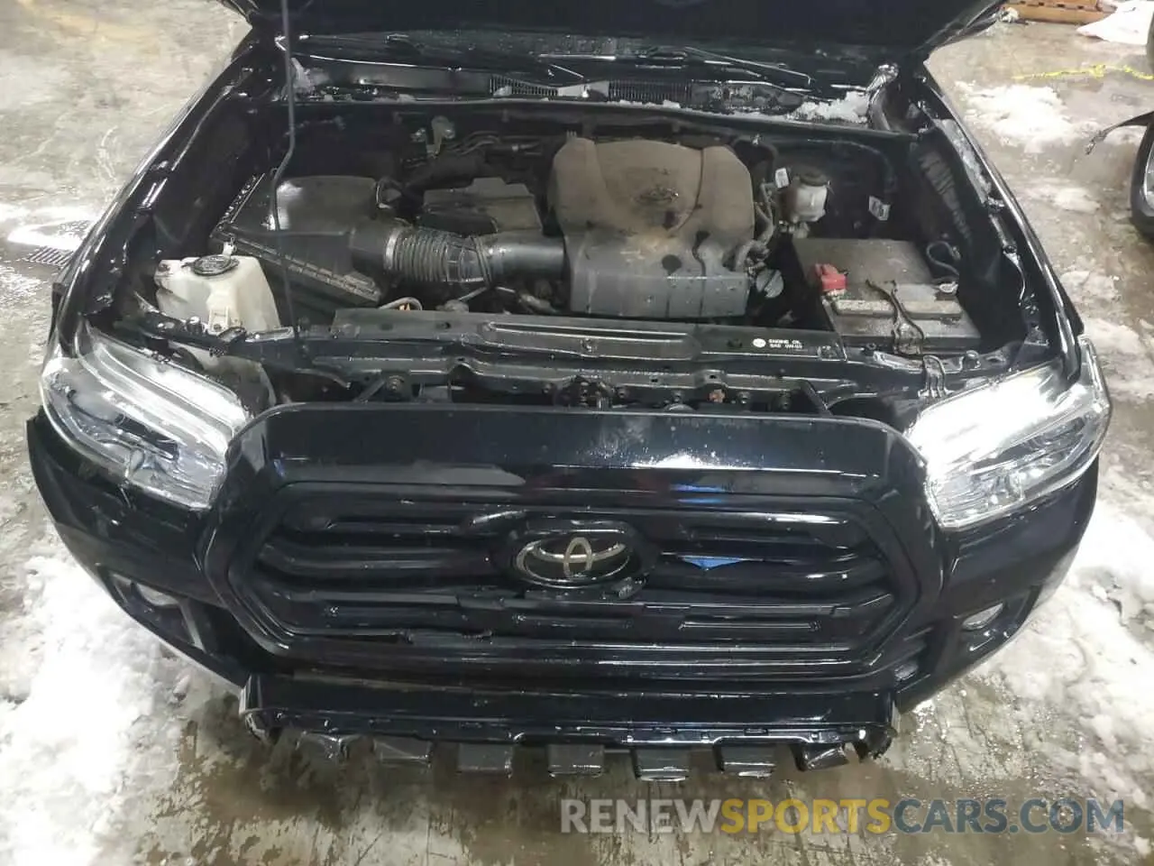 11 Photograph of a damaged car 3TMCZ5AN3KM206231 TOYOTA TACOMA 2019