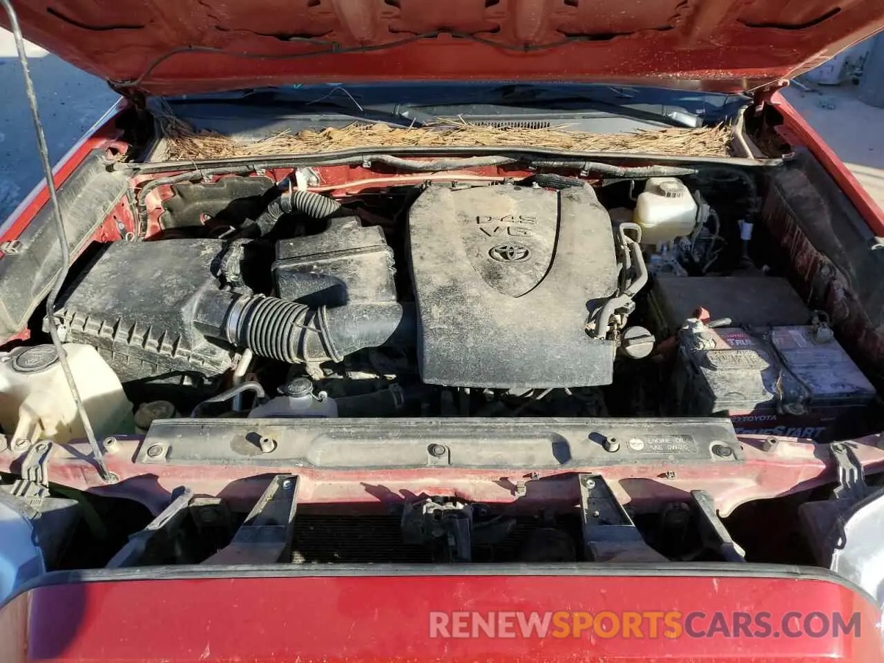 11 Photograph of a damaged car 3TMCZ5AN3KM227001 TOYOTA TACOMA 2019