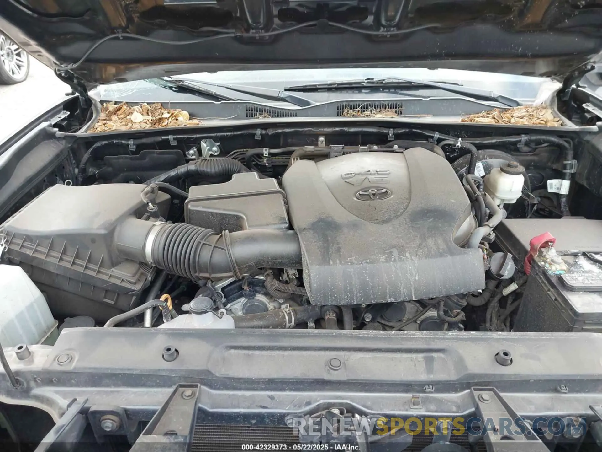 10 Photograph of a damaged car 3TMCZ5AN3KM286159 TOYOTA TACOMA 2019