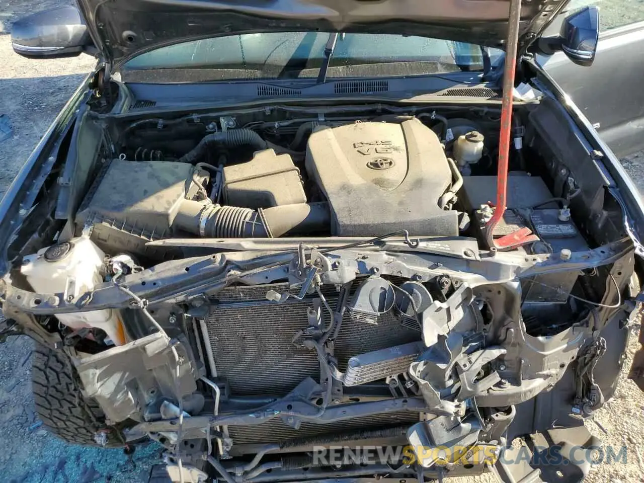11 Photograph of a damaged car 3TMCZ5AN4KM273999 TOYOTA TACOMA 2019