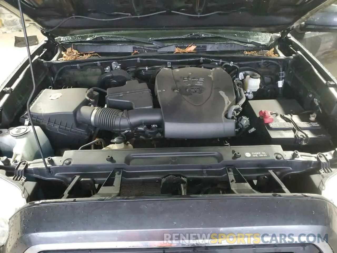 11 Photograph of a damaged car 3TMCZ5AN5KM214377 TOYOTA TACOMA 2019
