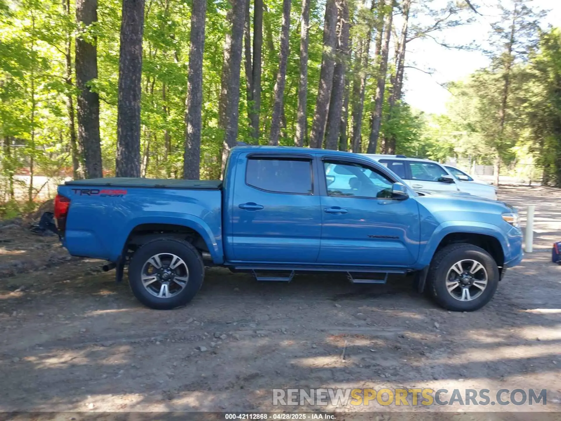 14 Photograph of a damaged car 3TMCZ5AN5KM263854 TOYOTA TACOMA 2019