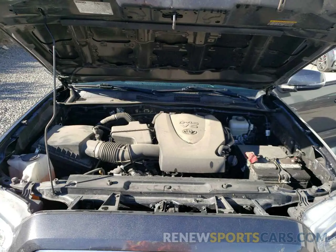 12 Photograph of a damaged car 3TMCZ5AN5KM287975 TOYOTA TACOMA 2019