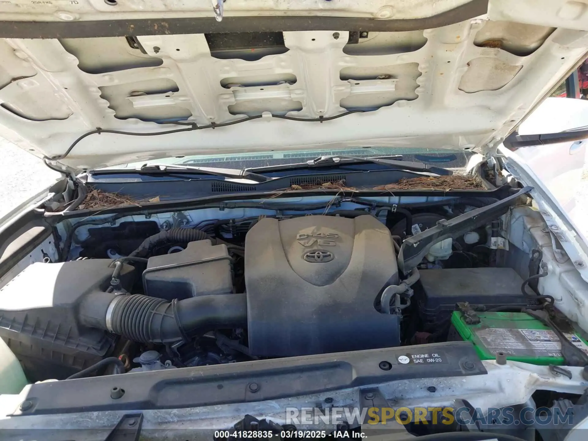 10 Photograph of a damaged car 3TMCZ5AN6KM229597 TOYOTA TACOMA 2019