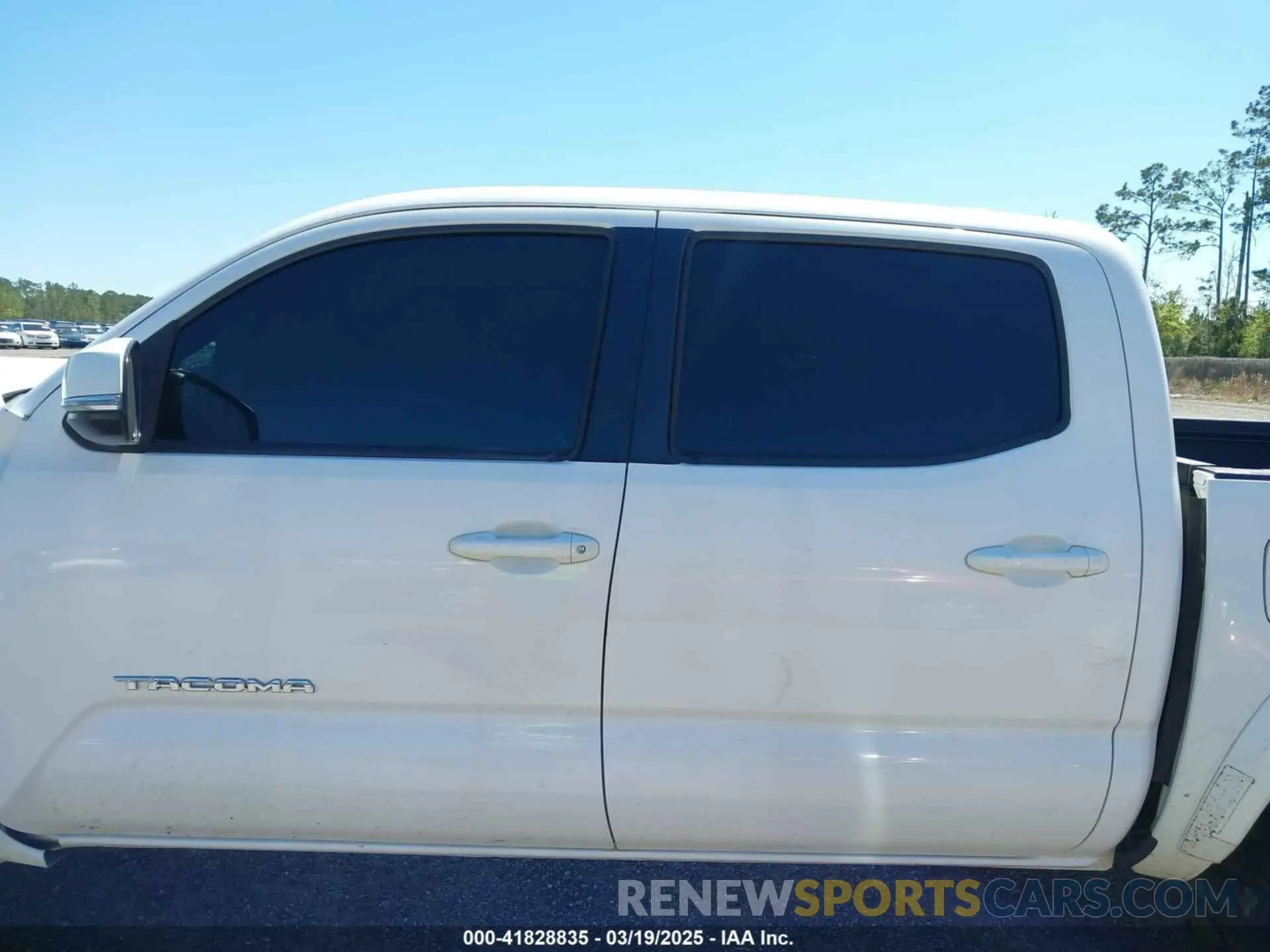13 Photograph of a damaged car 3TMCZ5AN6KM229597 TOYOTA TACOMA 2019