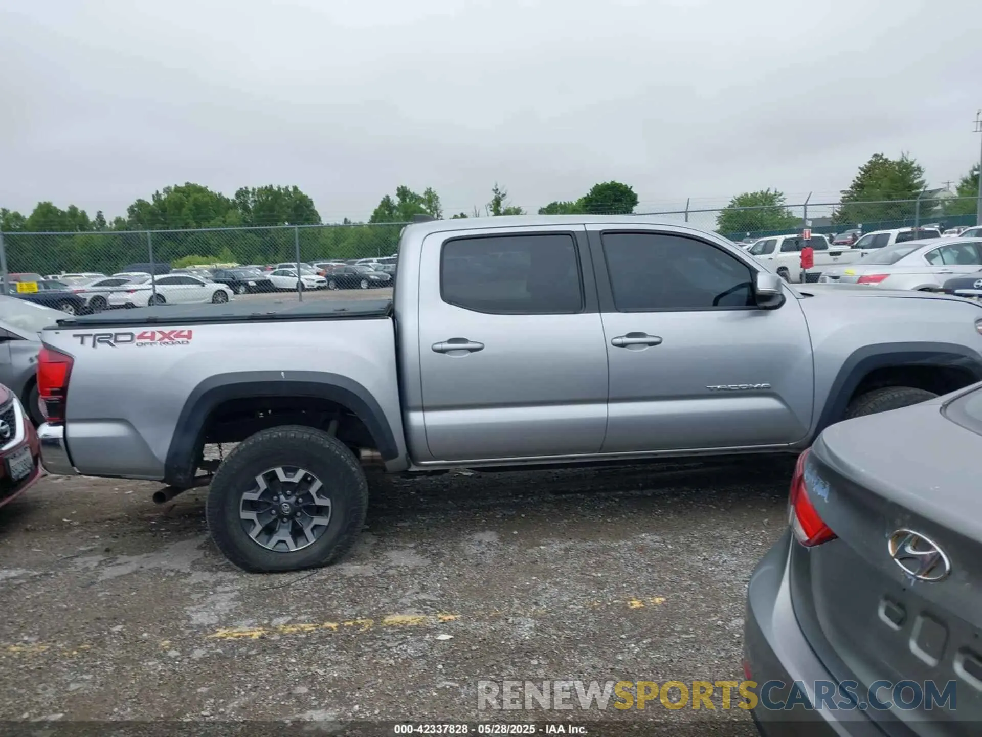 13 Photograph of a damaged car 3TMCZ5AN6KM239871 TOYOTA TACOMA 2019