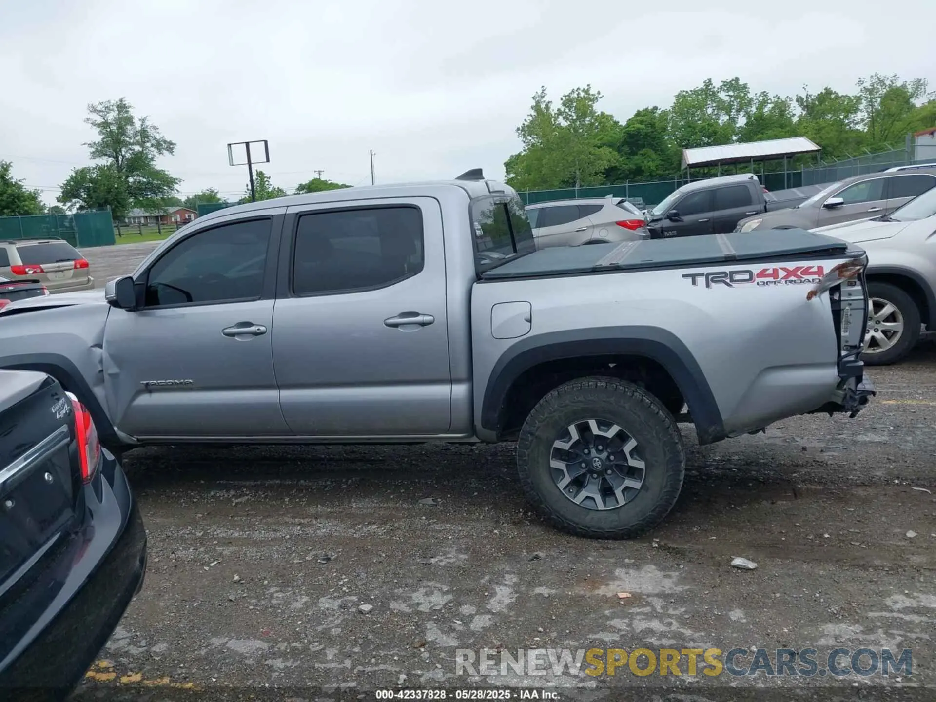 14 Photograph of a damaged car 3TMCZ5AN6KM239871 TOYOTA TACOMA 2019