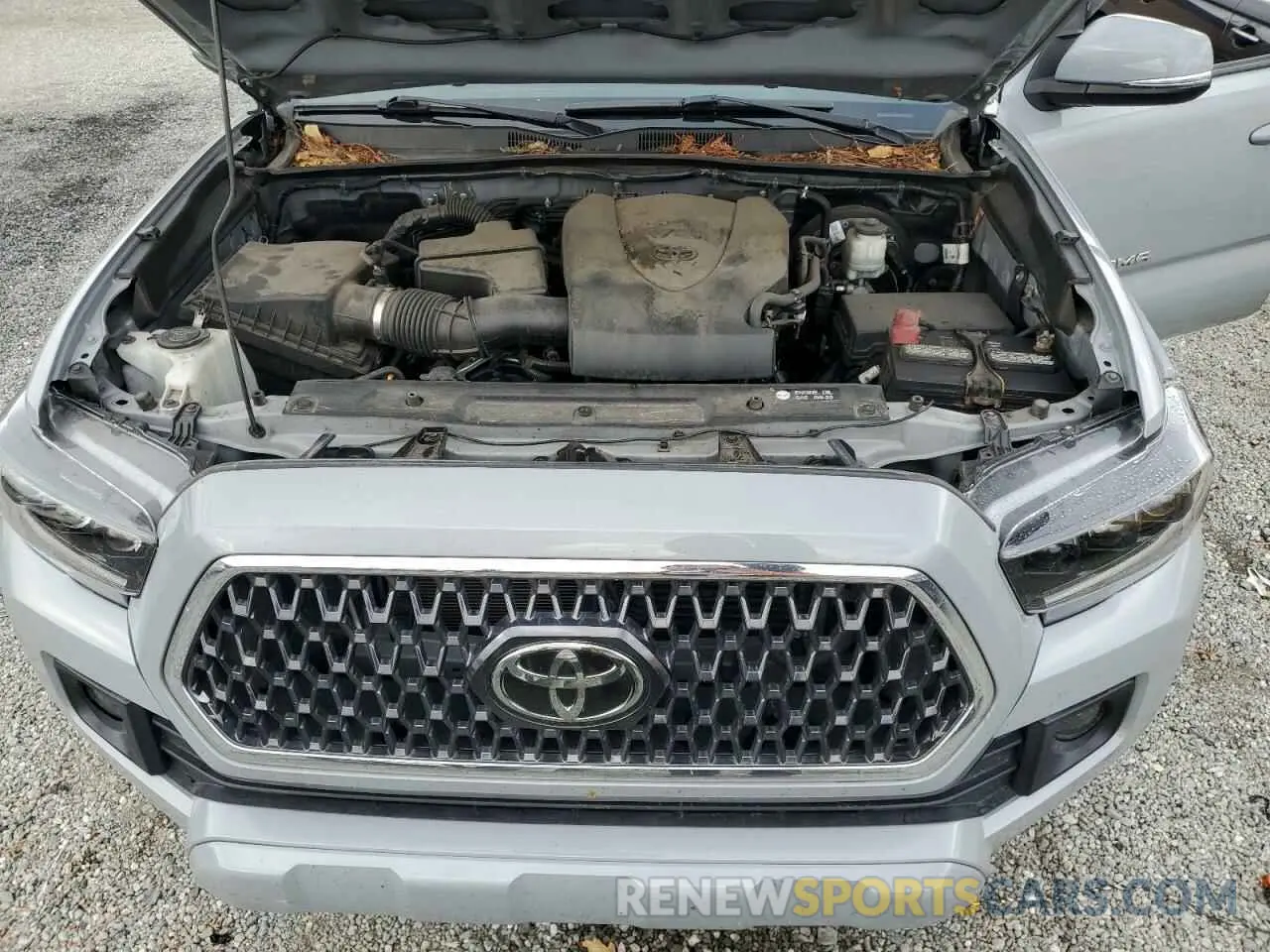 11 Photograph of a damaged car 3TMCZ5AN6KM247212 TOYOTA TACOMA 2019