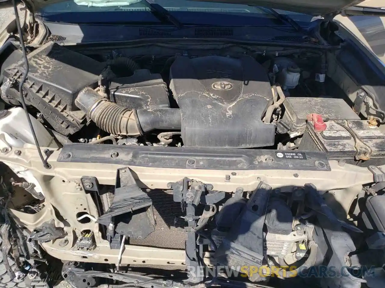 11 Photograph of a damaged car 3TMCZ5AN6KM269517 TOYOTA TACOMA 2019