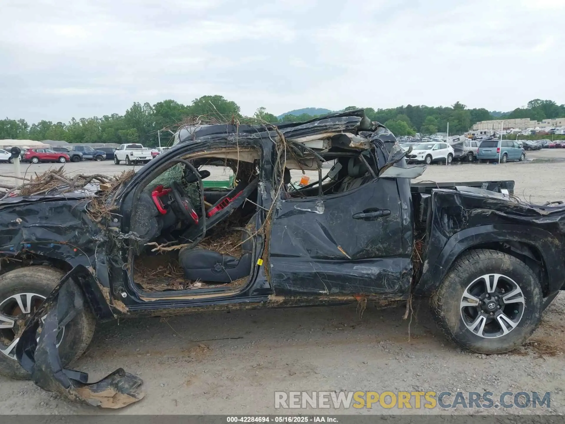 14 Photograph of a damaged car 3TMCZ5AN7KM203669 TOYOTA TACOMA 2019