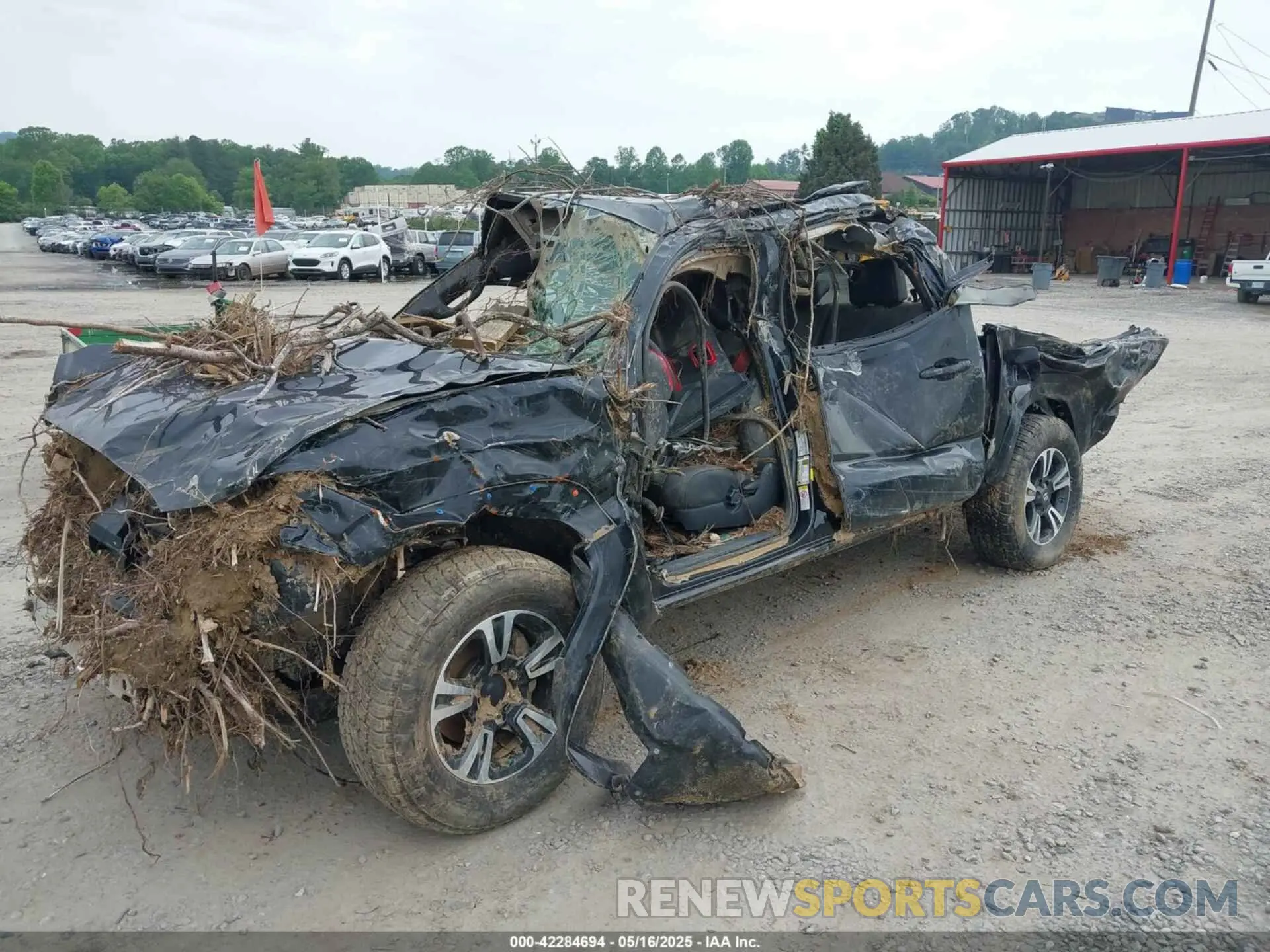 6 Photograph of a damaged car 3TMCZ5AN7KM203669 TOYOTA TACOMA 2019