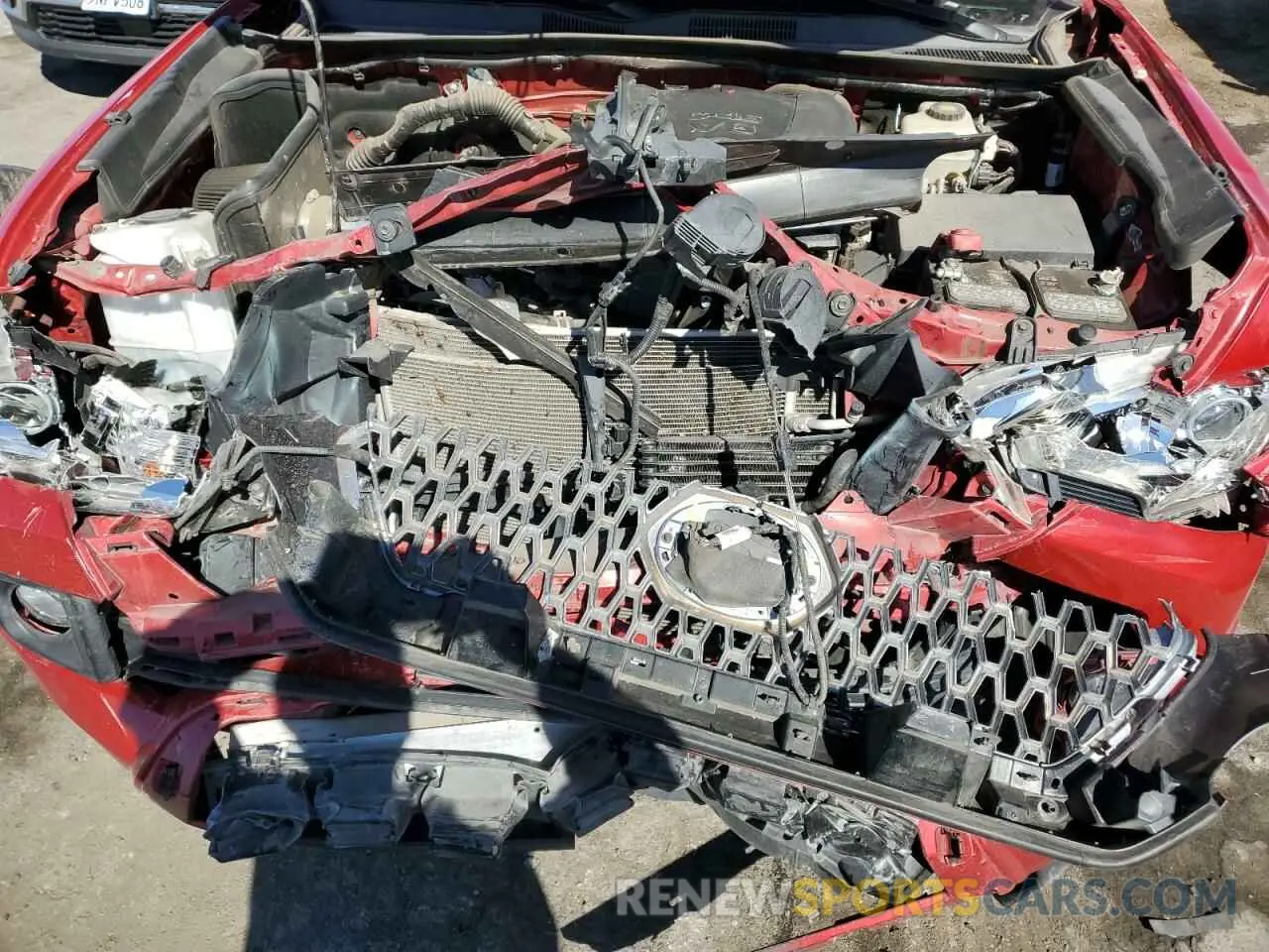 11 Photograph of a damaged car 3TMCZ5AN7KM213859 TOYOTA TACOMA 2019