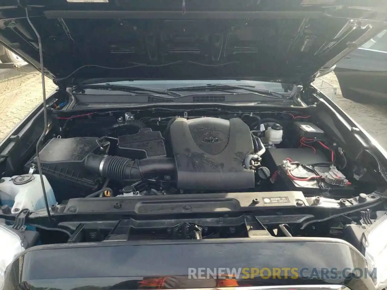 7 Photograph of a damaged car 3TMCZ5AN7KM221542 TOYOTA TACOMA 2019