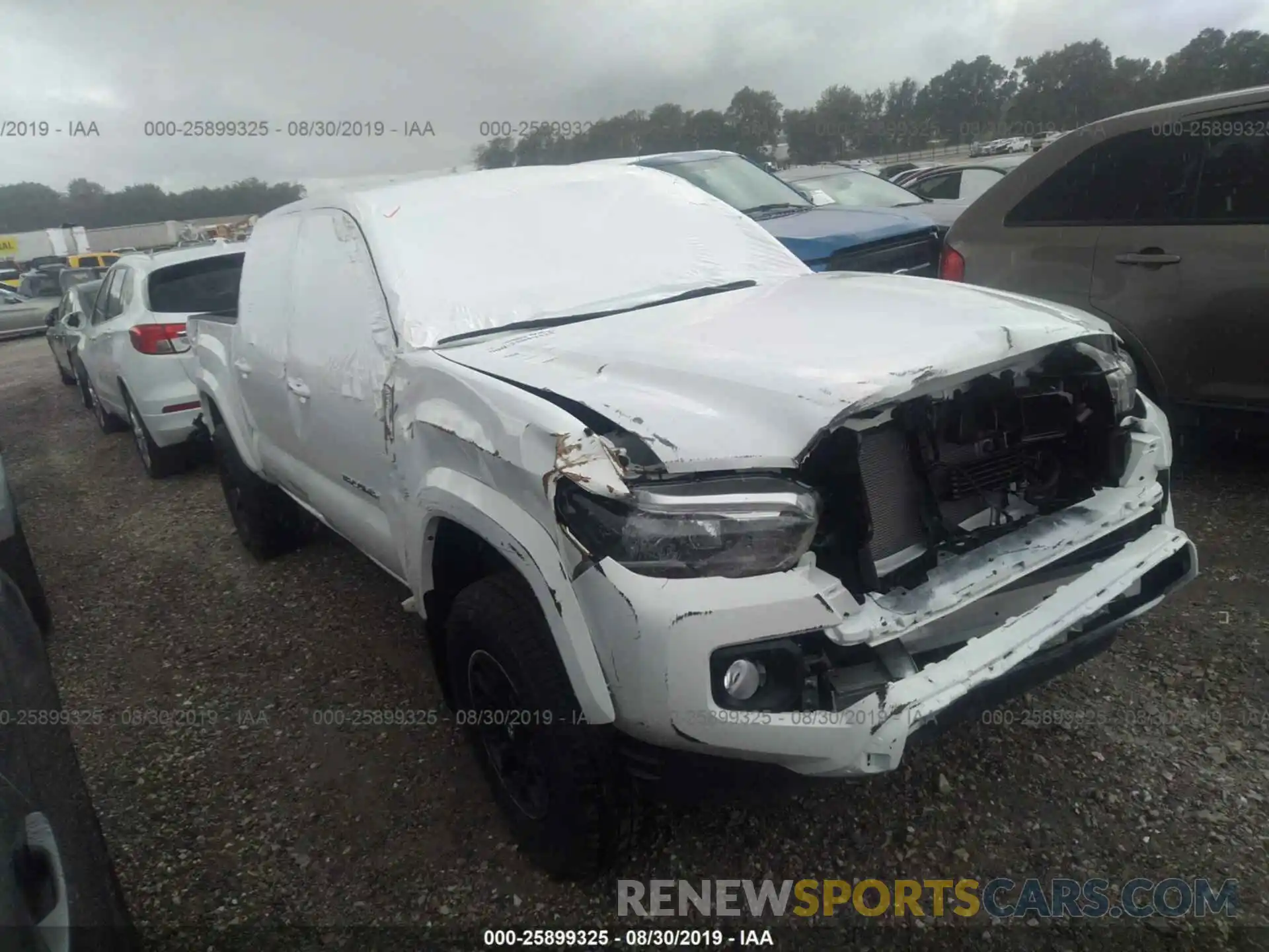 1 Photograph of a damaged car 3TMCZ5AN7KM226479 TOYOTA TACOMA 2019