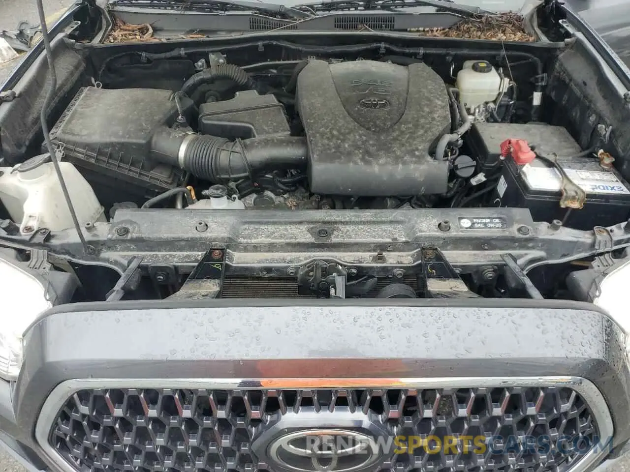 11 Photograph of a damaged car 3TMCZ5AN7KM236400 TOYOTA TACOMA 2019