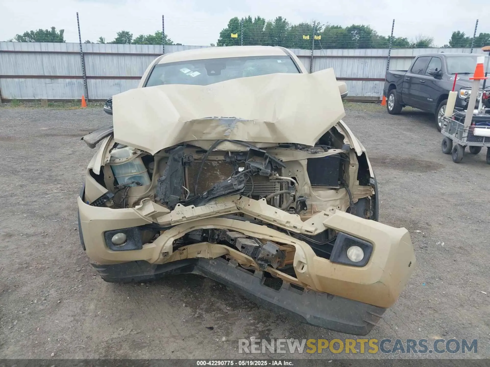 13 Photograph of a damaged car 3TMCZ5AN7KM238146 TOYOTA TACOMA 2019