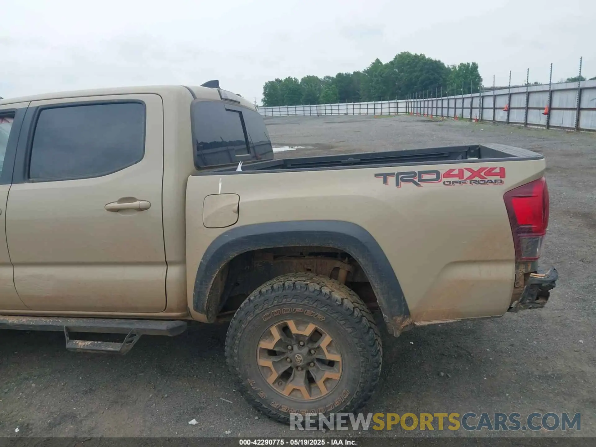 21 Photograph of a damaged car 3TMCZ5AN7KM238146 TOYOTA TACOMA 2019