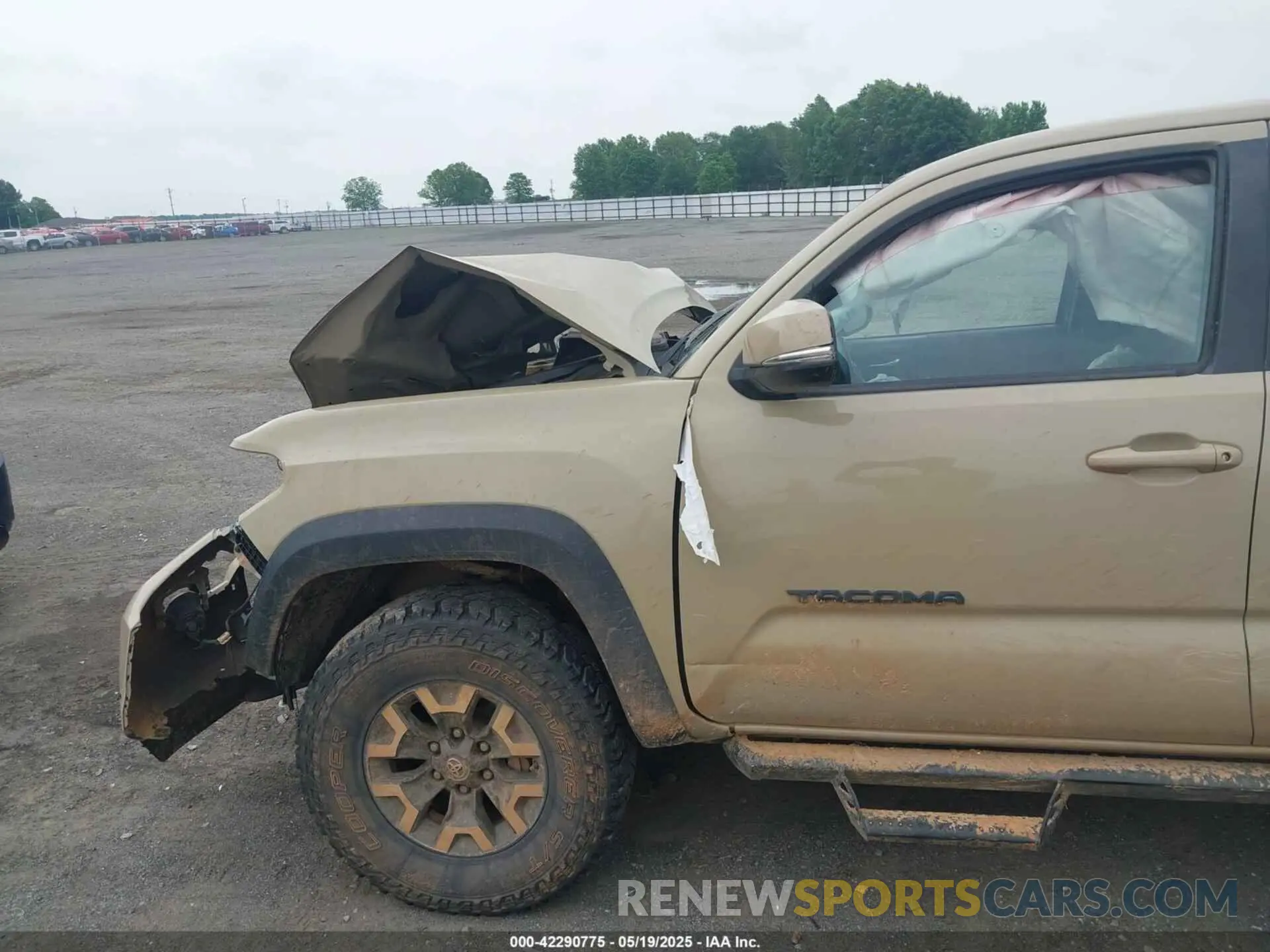22 Photograph of a damaged car 3TMCZ5AN7KM238146 TOYOTA TACOMA 2019