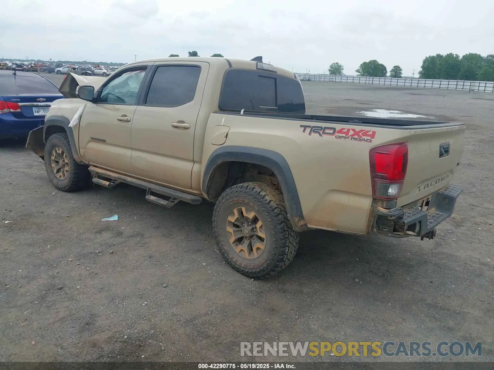 3 Photograph of a damaged car 3TMCZ5AN7KM238146 TOYOTA TACOMA 2019