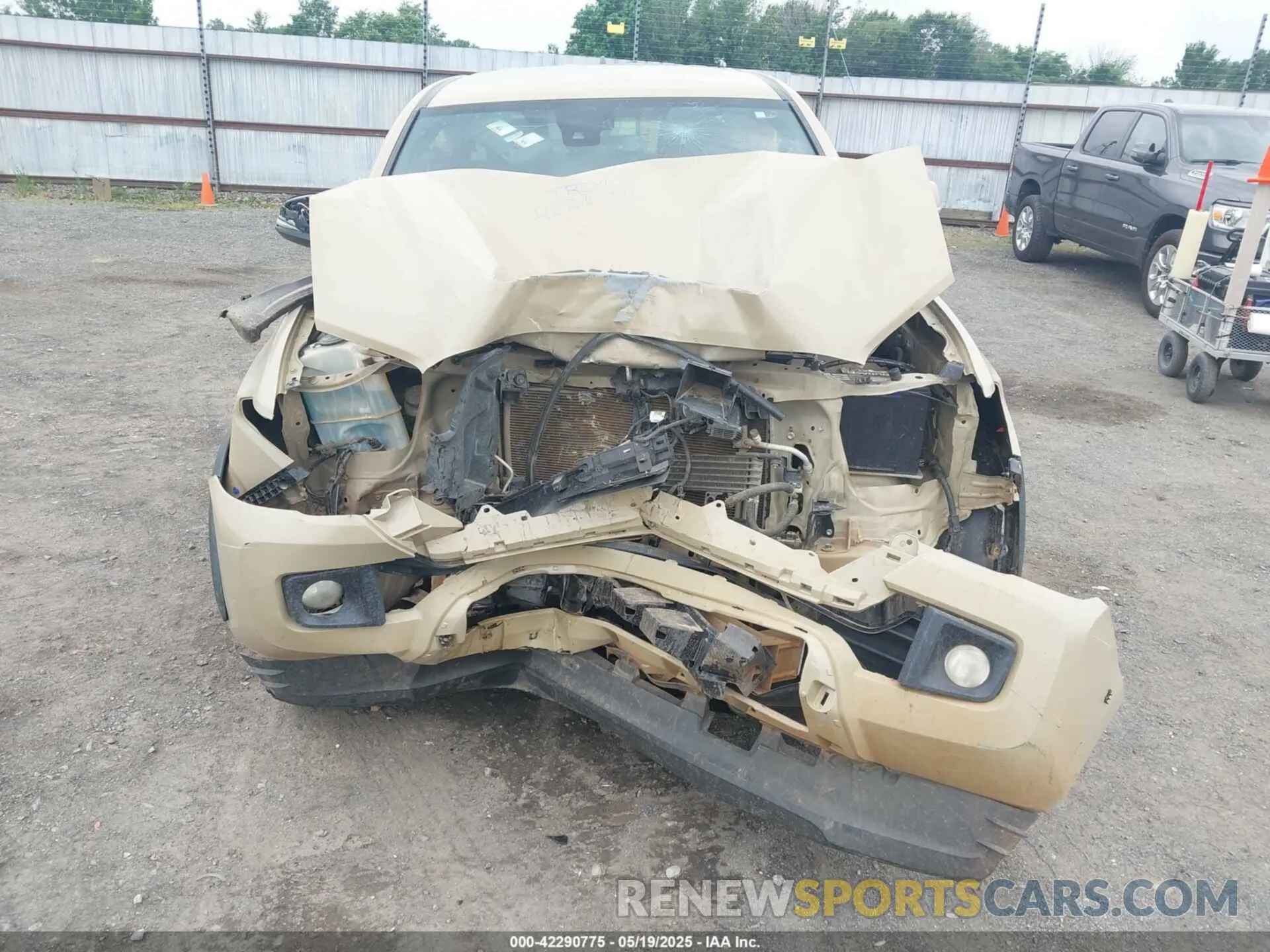 6 Photograph of a damaged car 3TMCZ5AN7KM238146 TOYOTA TACOMA 2019