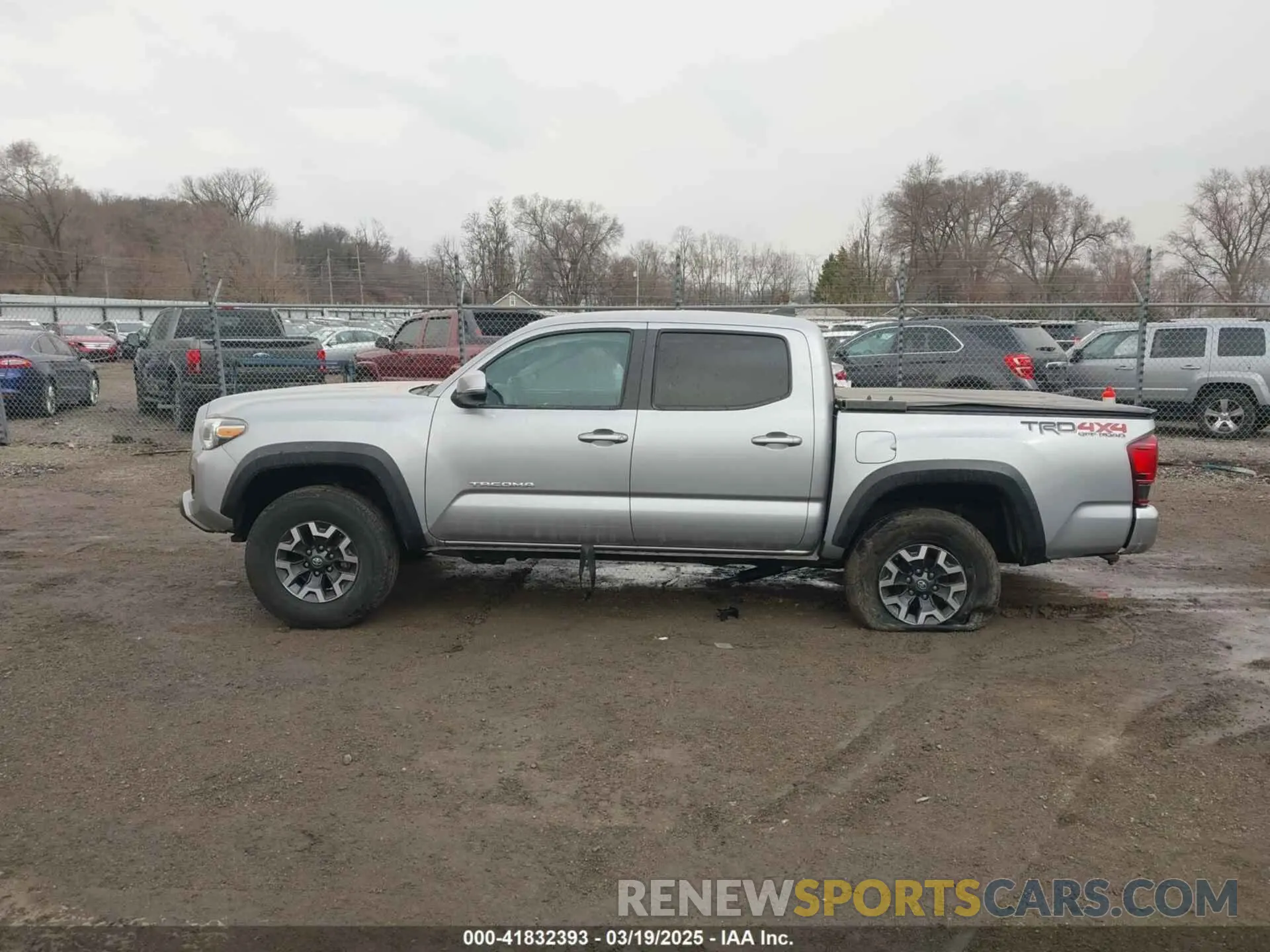 14 Photograph of a damaged car 3TMCZ5AN7KM246599 TOYOTA TACOMA 2019