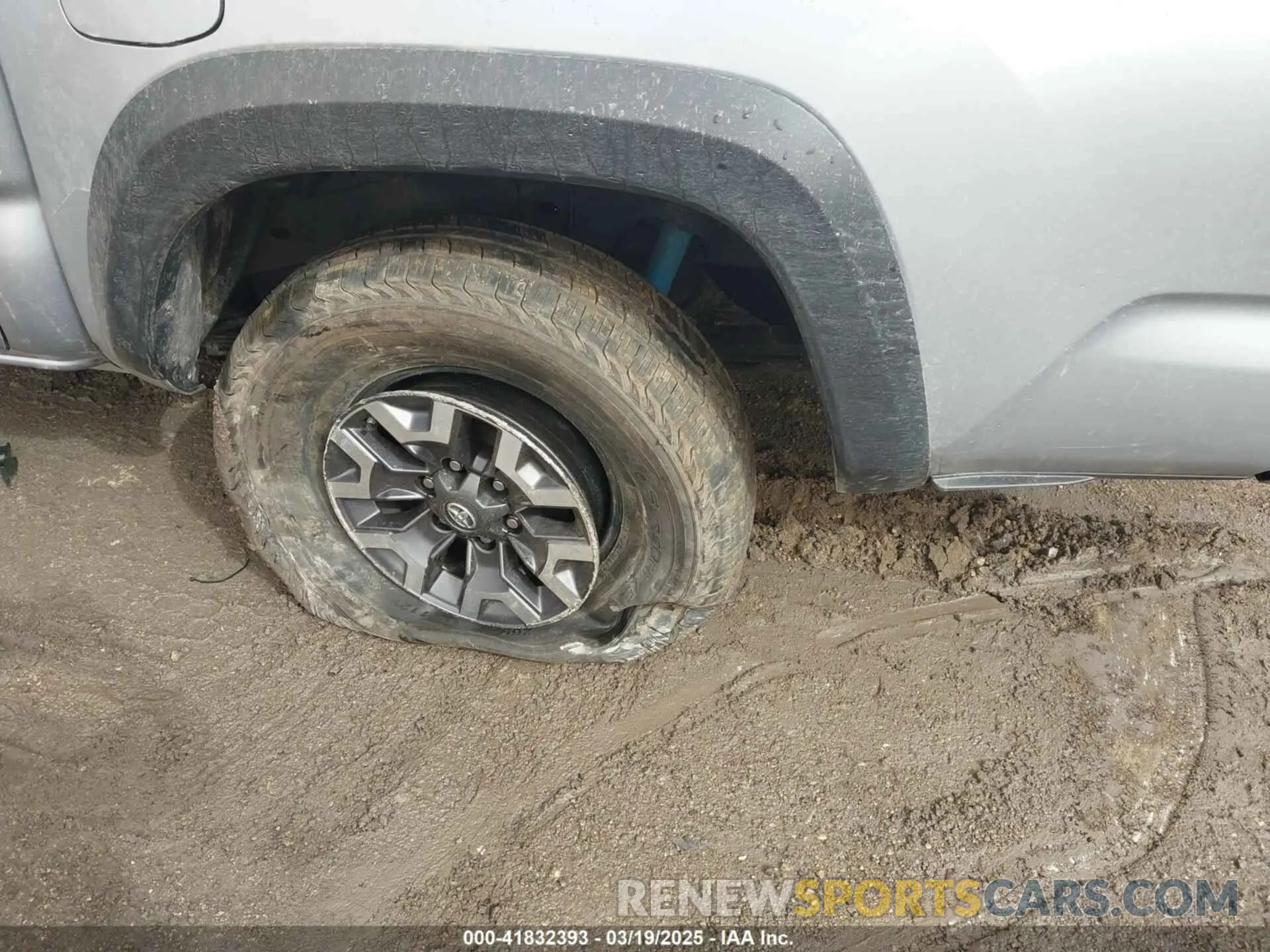 6 Photograph of a damaged car 3TMCZ5AN7KM246599 TOYOTA TACOMA 2019
