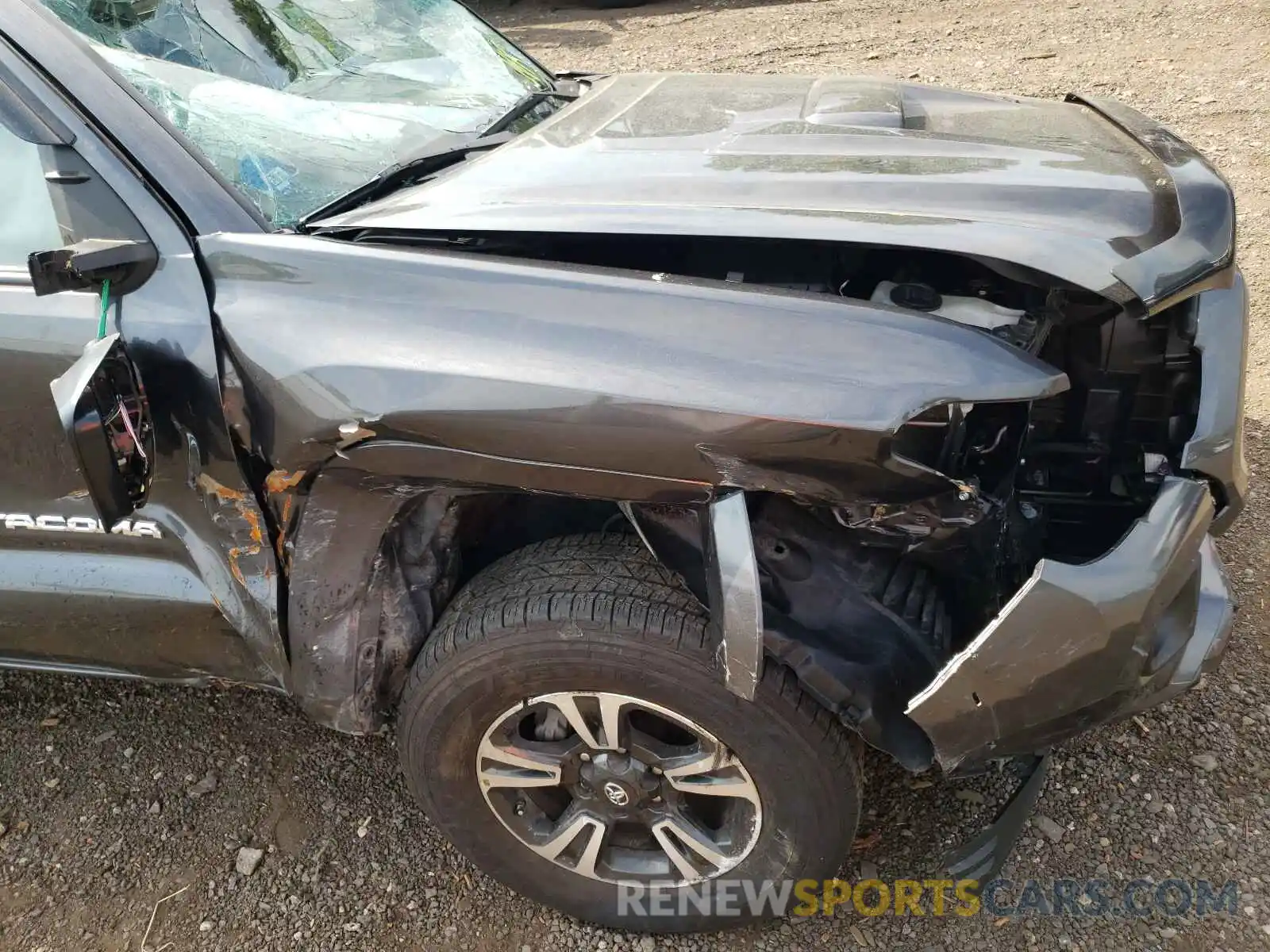 9 Photograph of a damaged car 3TMCZ5AN7KM261684 TOYOTA TACOMA 2019