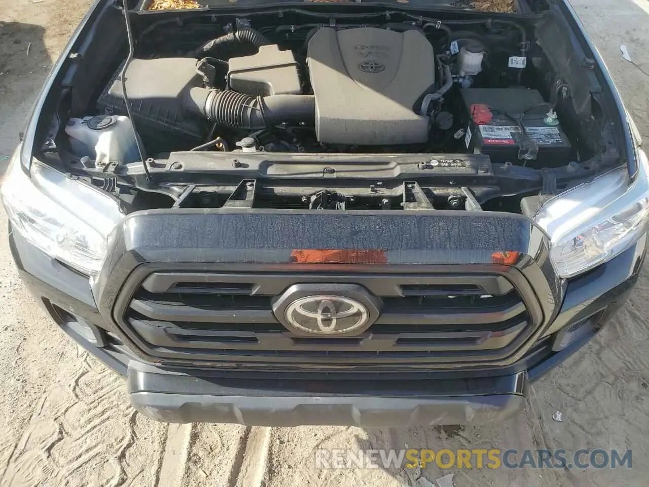 11 Photograph of a damaged car 3TMCZ5AN7KM266156 TOYOTA TACOMA 2019