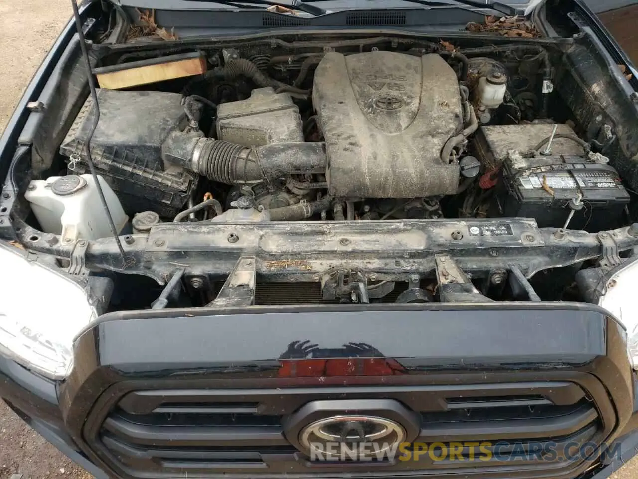 11 Photograph of a damaged car 3TMCZ5AN7KM277061 TOYOTA TACOMA 2019