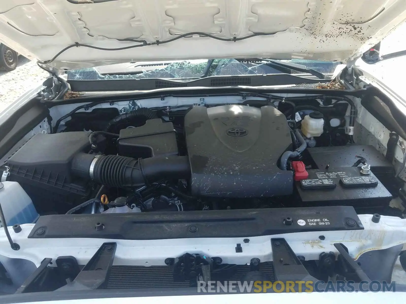 7 Photograph of a damaged car 3TMCZ5AN8KM272564 TOYOTA TACOMA 2019