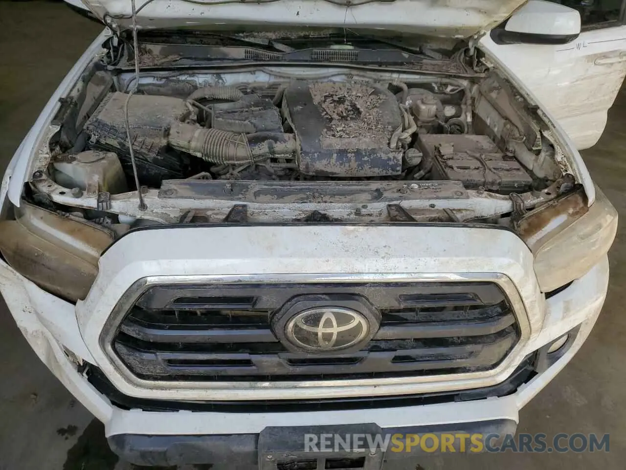 13 Photograph of a damaged car 3TMCZ5AN8KM282849 TOYOTA TACOMA 2019