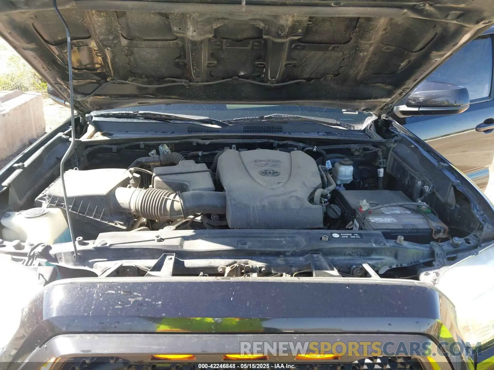 10 Photograph of a damaged car 3TMCZ5AN9KM246846 TOYOTA TACOMA 2019