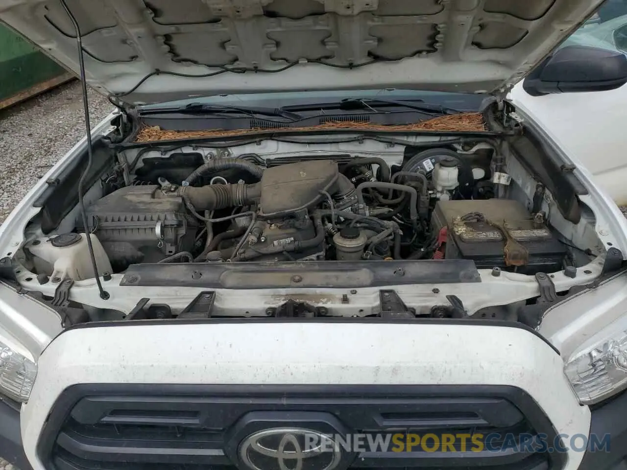 11 Photograph of a damaged car 5TFRX5GN9KX155061 TOYOTA TACOMA 2019