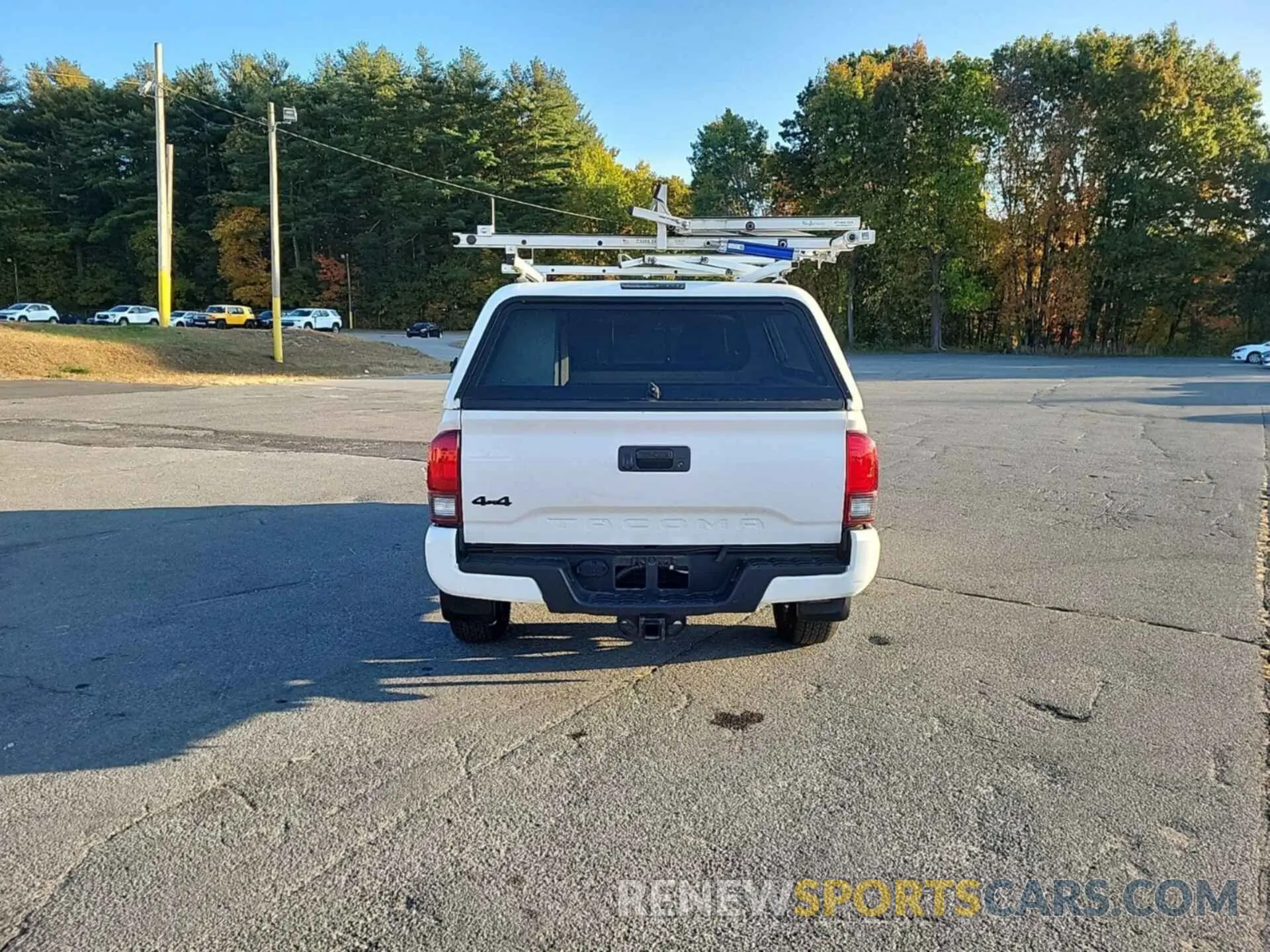 11 Photograph of a damaged car 5TFSZ5AN6KX183923 TOYOTA TACOMA 2019