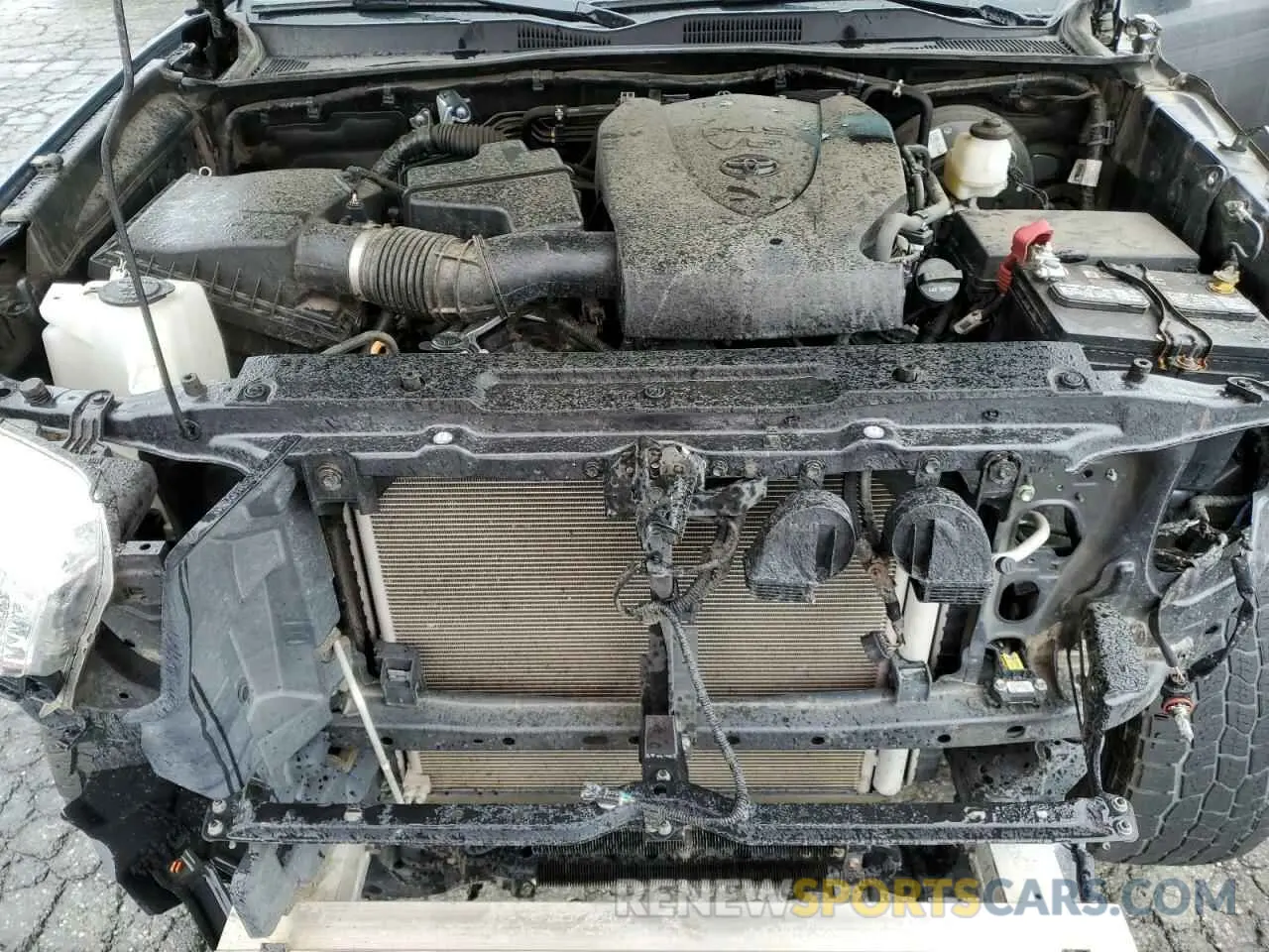 11 Photograph of a damaged car 3TMBZ5DN1LM026688 TOYOTA TACOMA 2020