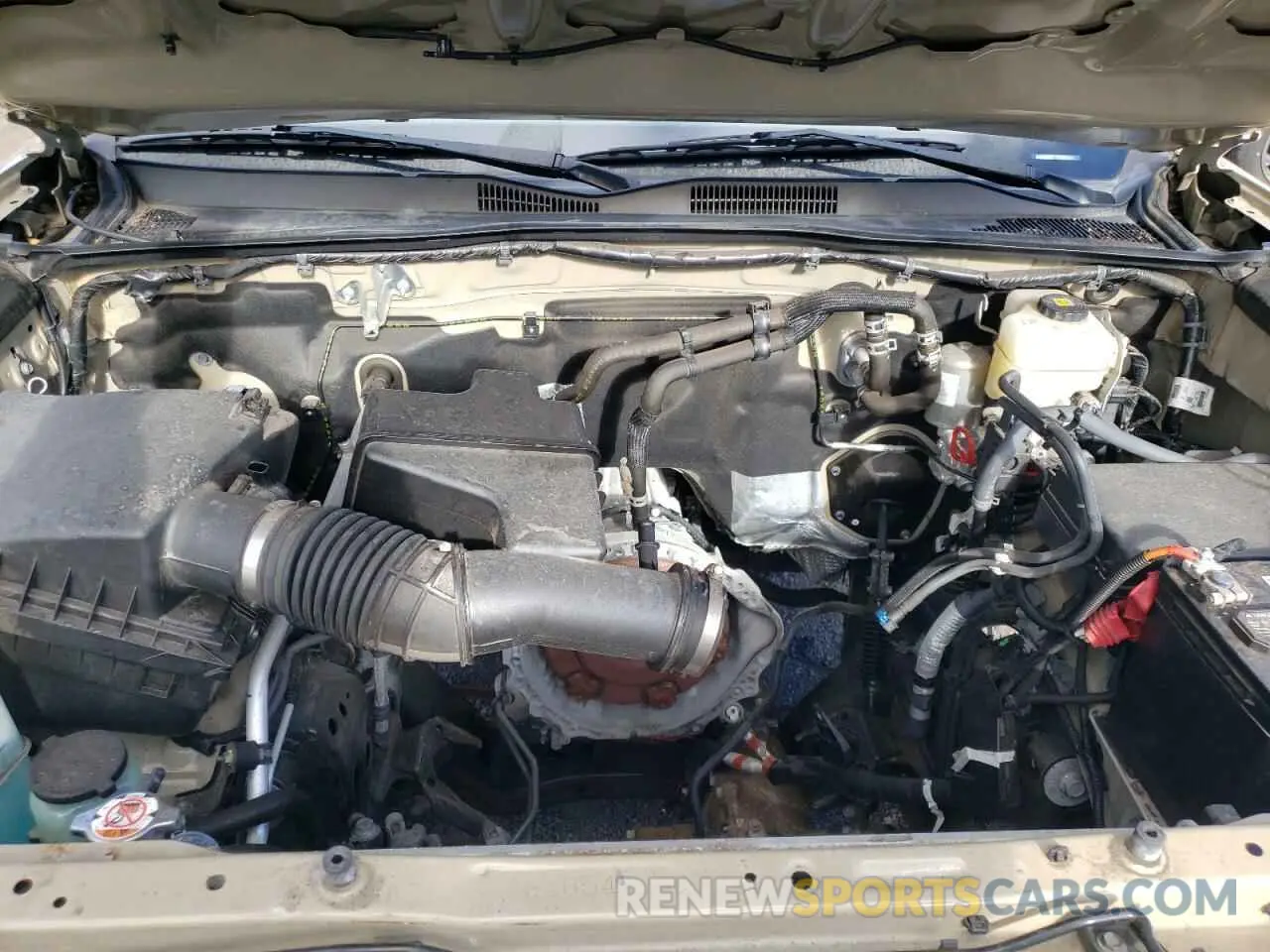 11 Photograph of a damaged car 3TMCZ5AN3LM350900 TOYOTA TACOMA 2020