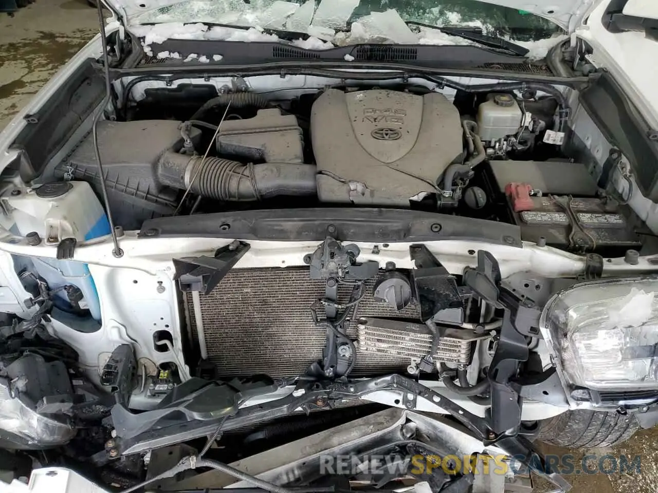 11 Photograph of a damaged car 3TMCZ5AN5LM325643 TOYOTA TACOMA 2020