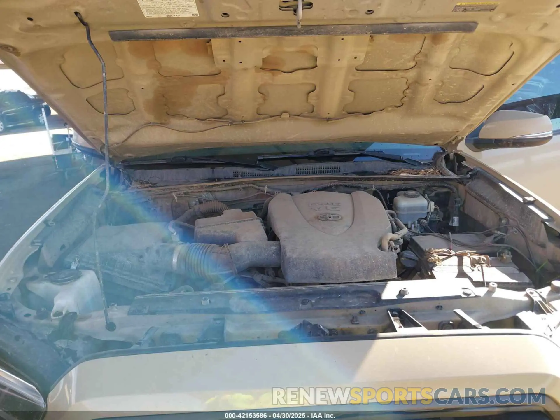 10 Photograph of a damaged car 3TMCZ5AN9LM321515 TOYOTA TACOMA 2020